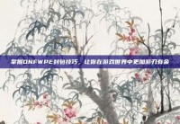 掌握DNFWPE封包技巧，让你在游戏世界中更加游刃有余