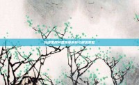 斩魂黑屏问题深度解析与解决策略