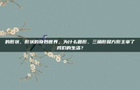 的形状，形状的奇妙世界，为什么圆形、三角形和方形主宰了我们的生活？
