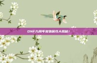 DNF九周年宠物属性大揭秘！