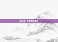 龙之谷 贤者加点攻略