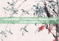csgo柏林最燃集锦，CSGO柏林Major最燃集锦，那些让全球玩家起立欢呼的瞬间