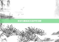 老滚5重铸高尔多护符攻略