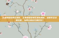 王者荣耀安卓区浪队，王者荣耀安卓区浪队揭秘，这群不正经的玩家，为何让峡谷充满欢乐？