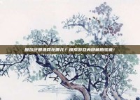 摩尔庄园渔网在哪儿？探索游戏内隐藏的宝藏！