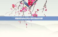 揭秘冒险岛火炮手属性加点攻略