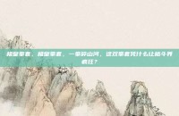 极皇拳套，极皇拳套，一拳碎山河，这双拳套凭什么让格斗界疯狂？