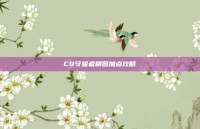 C9守望者刷图加点攻略
