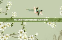 梦幻西游钓鱼外挂的真相与应对策略