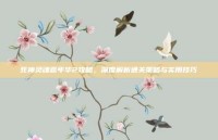 死神灵魂嘉年华2攻略，深度解析通关策略与实用技巧