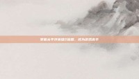 掌握太平洋英雄2秘籍，成为游戏高手