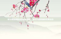梦幻西游周杰伦副本攻略，音乐与冒险的完美结合