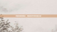 掌握流星蝴蝶剑，揭秘游戏中的终极大招