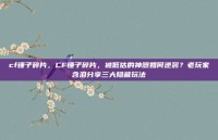 cf锤子碎片，CF锤子碎片，被低估的神器如何逆袭？老玩家含泪分享三大隐藏玩法