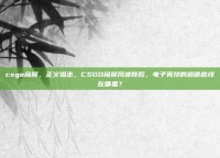 csgo窥屏，正义狙击，CSGO窥屏风波背后，电子竞技的道德底线在哪里？