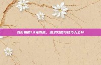 龙影辅助1.3免费版，游戏攻略与技巧大公开