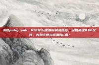 清理pubg pak，PUBG玩家的瘦身急救箱，深度清理PAK文件，告别卡顿与爆满的C盘！