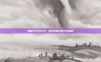 掌握PSP2K10，游戏攻略与技巧全解析