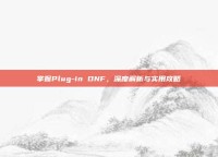 掌握Plug-in DNF，深度解析与实用攻略