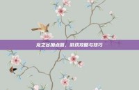 龙之谷加点器，游戏攻略与技巧