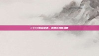 CSGO柏林贴纸，解锁游戏新境界