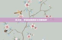 龙之谷，职业深度解析与攻略指南