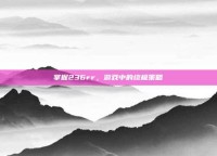 掌握236rr，游戏中的终极策略