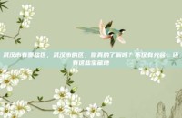 武汉市有哪些区，武汉市的区，你真的了解吗？不仅有光谷，还有这些宝藏地