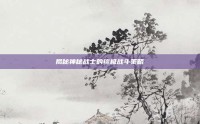 揭秘神秘战士的终极战斗策略