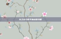 龙之谷弓箭手加点图攻略