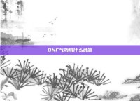 DNF气功用什么武器