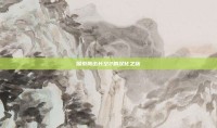 探索鹰击长空2的汉化之旅