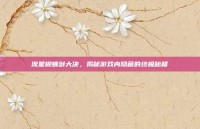 流星蝴蝶剑大决，揭秘游戏内隐藏的终极秘籍