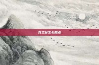 龙之谷怎么加点