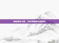 神秘铁球之谜，日本海岸的未知探险