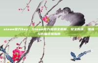 steam官方key，Steam官方密钥全解析，安全购买、激活与防骗终极指南
