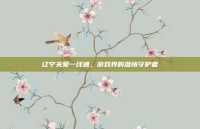 辽宁关爱一线通，游戏界的温情守护者