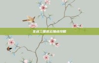 全战三国赵云加点攻略