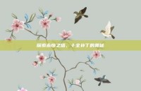 探索永恒之塔，十全补丁的奥秘