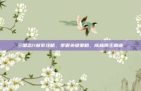 三国志11献帝攻略，掌握关键策略，成就帝王霸业