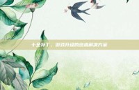 十全补丁，游戏升级的终极解决方案