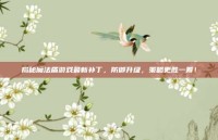 揭秘魔法盾游戏最新补丁，防御升级，策略更胜一筹！