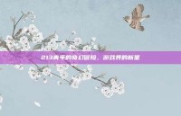 213青年的奇幻冒险，游戏界的新星