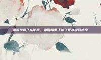 掌握侠盗飞车秘籍，如何调整飞机飞行高度和速度
