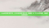 csgo优先账户哪个好，CSGO优先账户哪个好？普通版 vs Prime升级版，深度对比帮你避坑