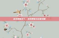 剑灵裸体补丁，游戏更新与玩家攻略