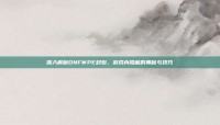 深入解析DNFWPE封包，游戏内隐藏的奥秘与技巧