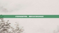 炉石传说维护更新，策略与技巧的完美结合
