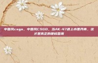 中国风csgo，中国风CSGO，当AK-47遇上水墨丹青，这才是真正的硬核国潮