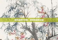 变形金刚2攻略，掌握胜利的关键